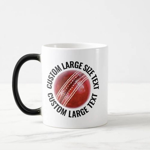 Large Text 11oz Magic Heat Changing Personalised Cricket Mug.